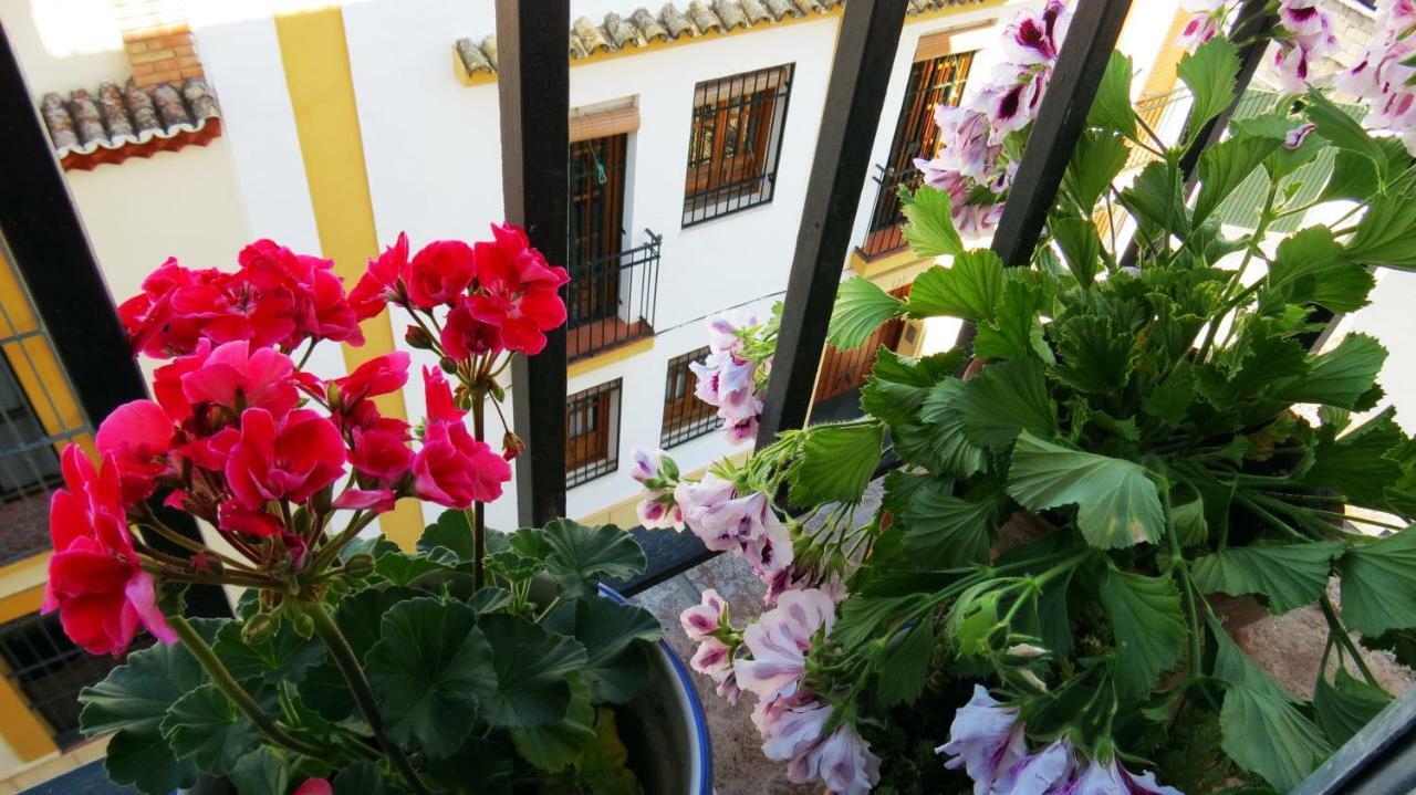 Patios De San Pedro Apartment Cordoba Luaran gambar